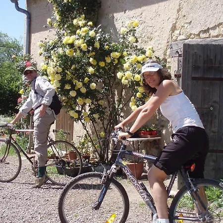 Les Houlins * Pouzy-Mesangy