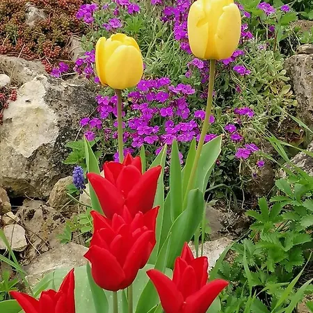 Les Houlins Holiday home Pouzy-Mesangy