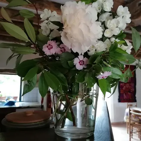 Les Houlins * Pouzy-Mesangy