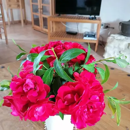 Les Houlins Holiday home *